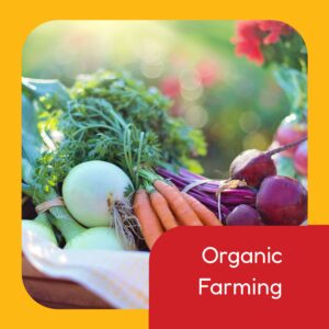Organic Farming